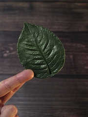 Молд пластиковый 