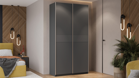 Шкаф-купе Оскар Хилтон 2-х дверный 1.2 серый графит / графит матовый