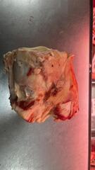 Мостолыга / Мосол (сустав говяжий)