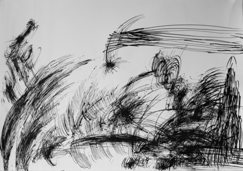 Абсолютное поле