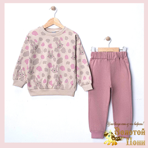 Костюм хлопок д (2-5) 260119-SL6169