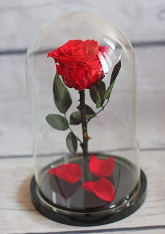 Вечная роза в стеклянной колбе красная (Премиум)