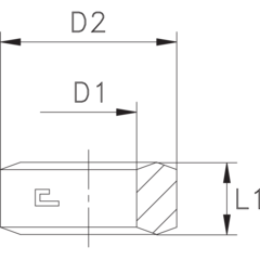 Шайба BSP1/4" CAST