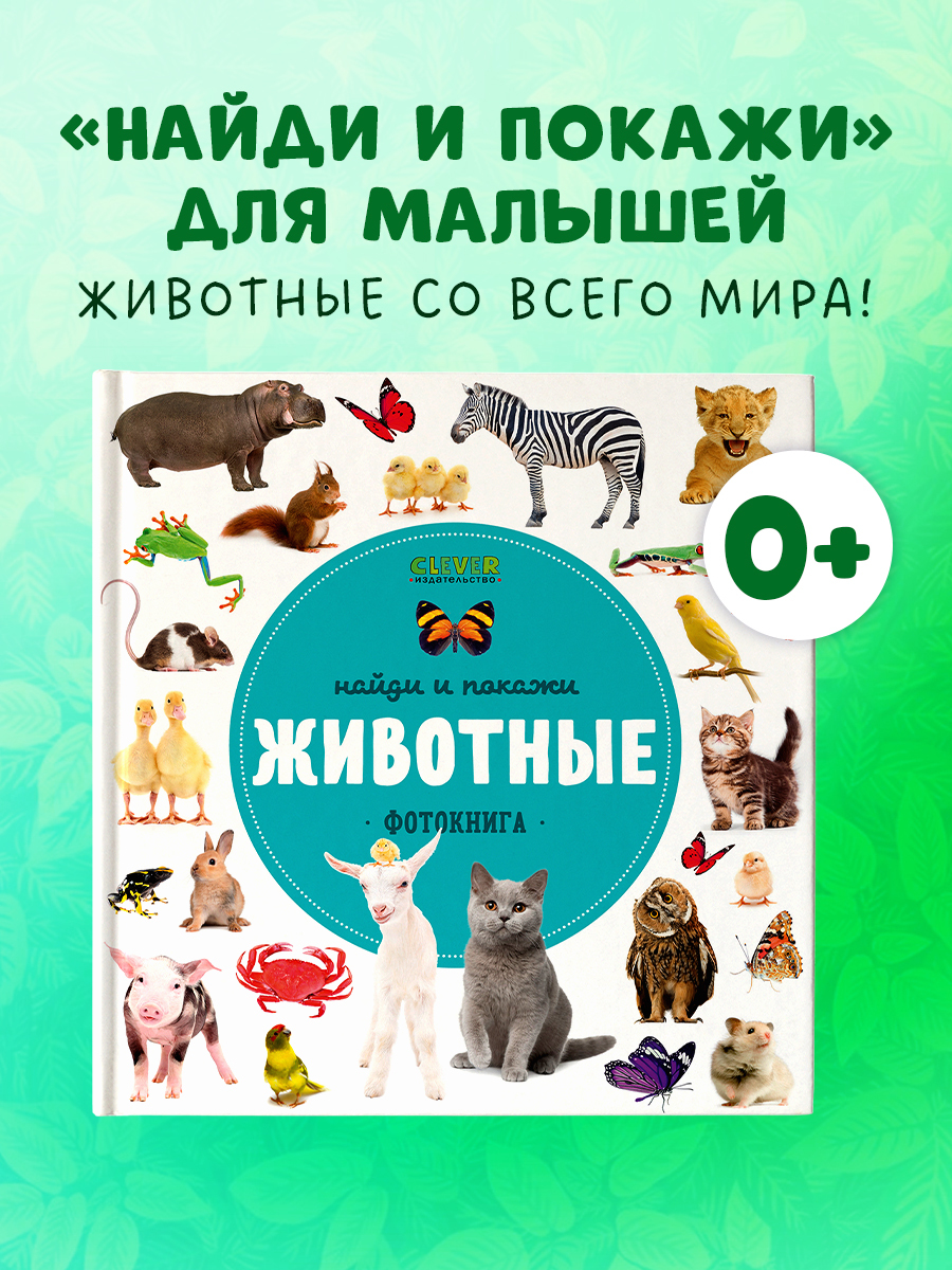 

Найди и покажи. Фотокниги. Животные