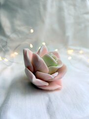 Силиконовая форма 