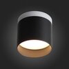 Светильник потолочный ST Luce ST102.402.09