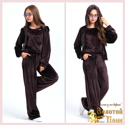 Костюм 3ка велюр д (9-13) 260123-WQ218