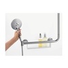 Штанга душевая 110 см Hansgrohe Unica Comfort 26404400