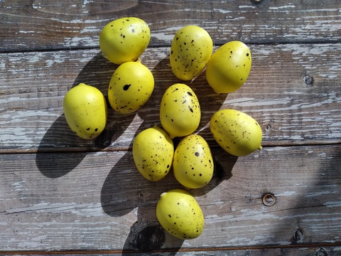 яйца цвет желтые 10шт
