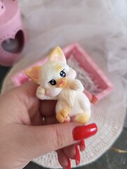Силиконовая форма 