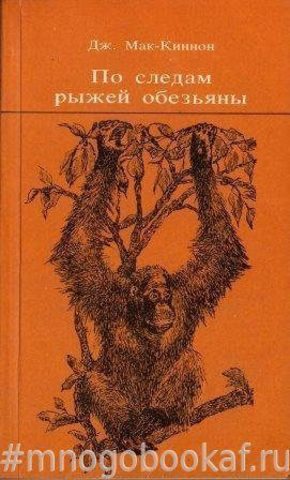 По следам рыжей обезьяны