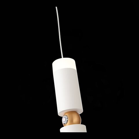 Светильник подвесной ST Luce Tuore SL1592.503.01