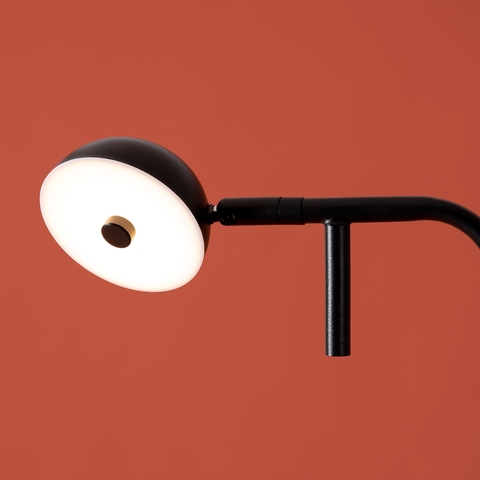 Торшер светодиодный Freya Piece FR5549FL-L5B