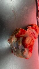 Мостолыга / Мосол (сустав говяжий)