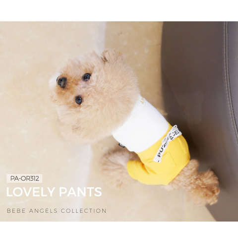 312 Костюм с бантом "Lovely Puppy Angel"