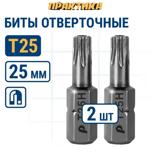 Бита отверточная ПРАКТИКА Профи Torx Tamper-25 х 25мм (2шт) (035-660)