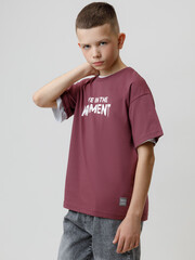 фуфайка  для мальчика  КР 302913/коричневый 1614 к634