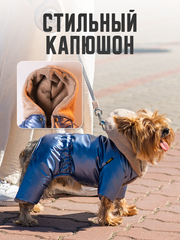 Royal Dog зимний костюм Мажор L