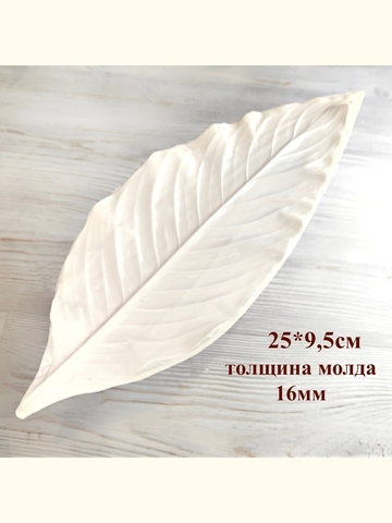 Молд лист 