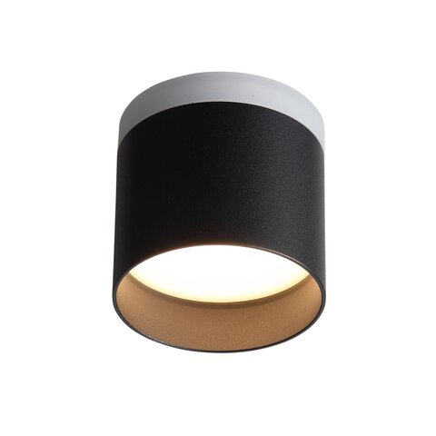 Светильник потолочный ST Luce ST102.402.12