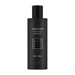 Шампунь для волос увлажняющий BEAUTIFIC For Men Quencher 250 мл