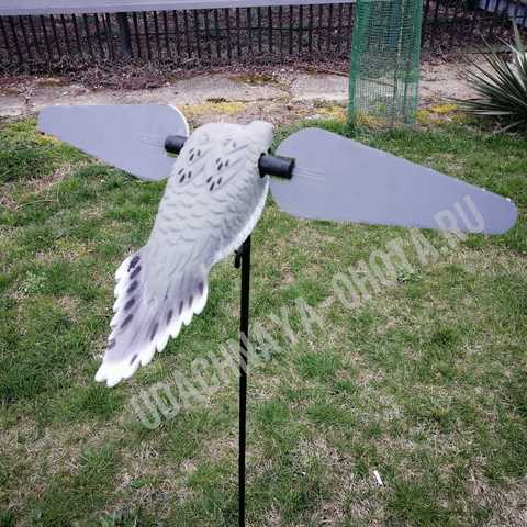 Чучело голубя (горлица) с вращающими крыльями Lucky Duck Dove HD