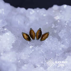 4K Marquise v.2 Tiger Eye