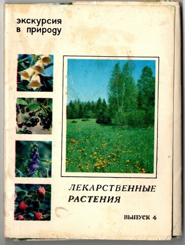 Полный набор открыток 25 штук "Лекарственные растения. выпуск 4". 1980 год СССР