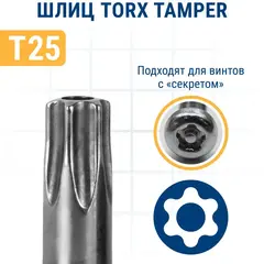 Бита отверточная ПРАКТИКА Профи Torx Tamper-25 х 25мм (2шт) (035-660)