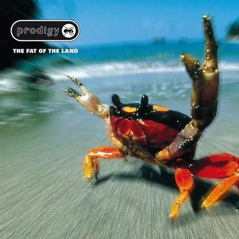 Виниловая пластинка. Prodigy - The Fat Of The Land
