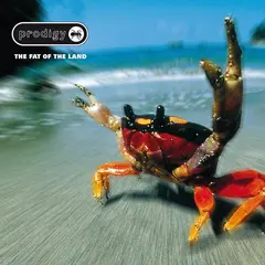 Виниловая пластинка. Prodigy - The Fat Of The Land