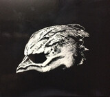 LEGEND OF THE SEAGULLMEN: Legend Of The Seagullmen (Компакт-диск)