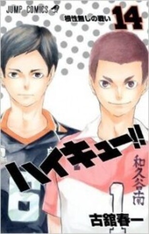 Haikyuu!! vol.14 (Japan Edition)