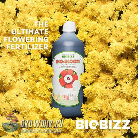 Bio-Bloom BioBizz 5 л