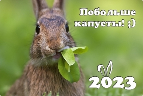 Магнит закатной Год кролика 2023 №0003