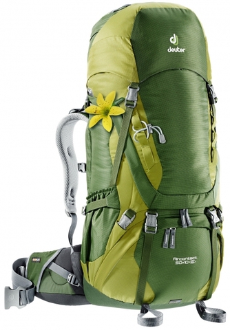 Картинка рюкзак туристический Deuter Aircontact 50+10 SL Pine-Moss - 1