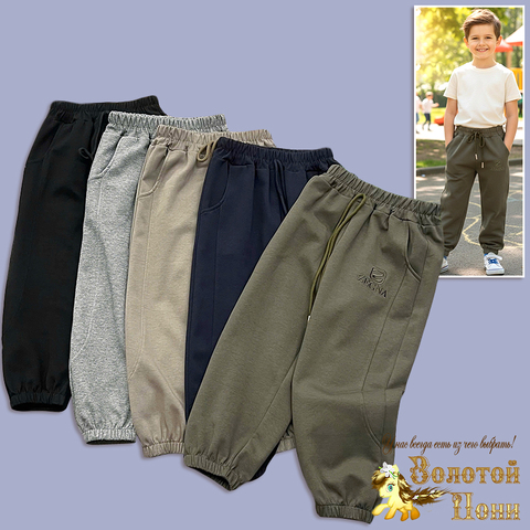 Брюки спортивные м (3-7) 260205-LP554