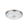 Потолочный светильник Odeon Light Pelow 4957/4