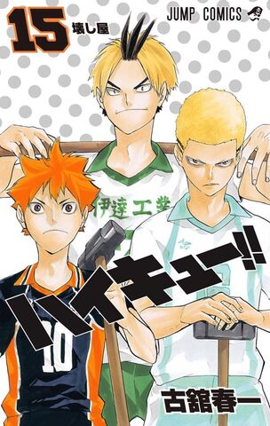 Haikyuu!! vol.15 (Japan Edition)