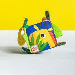 Bright Starts Развивающая игрушка 