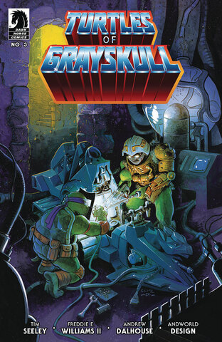 Masters Of The Universe Teenage Mutant Ninja Turtles Turtles Of Grayskull #3 (Cover B)