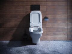 Чаша Унитаз подвесной Лайн rimless