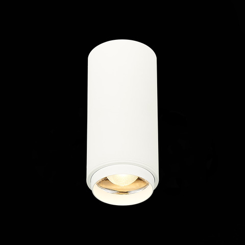 Светильник потолочный ST Luce ST600.532.10