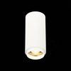 Светильник потолочный ST Luce ST600.532.10