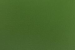 Искусственная кожа Dolero g.green (Долеро грин)
