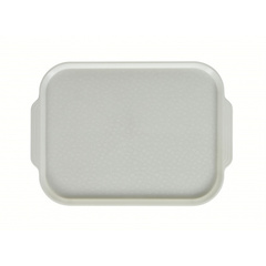 Поднос столовый 450х355