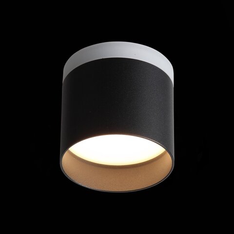 Светильник потолочный ST Luce ST102.402.12
