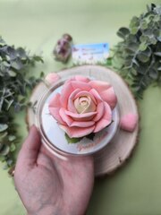 Силиконовая форма 