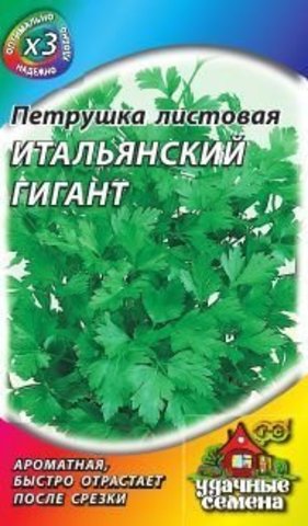 Петрушка Итальянский Гигант