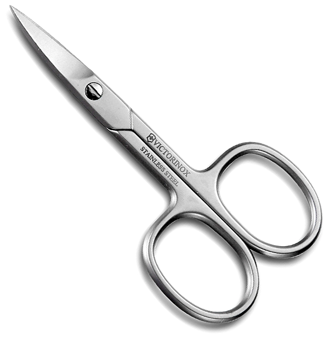 Victorinox Nail Scissors in silver - 8.1681.09